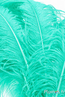 Struzzo premium - 50-60 cm - verde mare